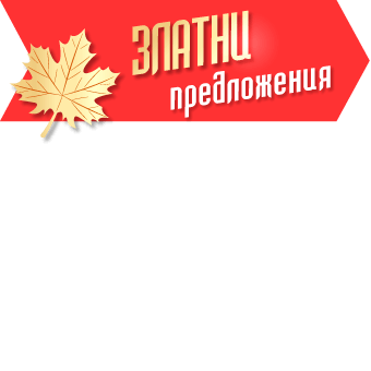 Икона в кампания